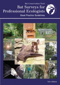 BCT Bat Survey Guidelines