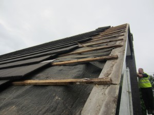 Soft Stripped Roof BLICL